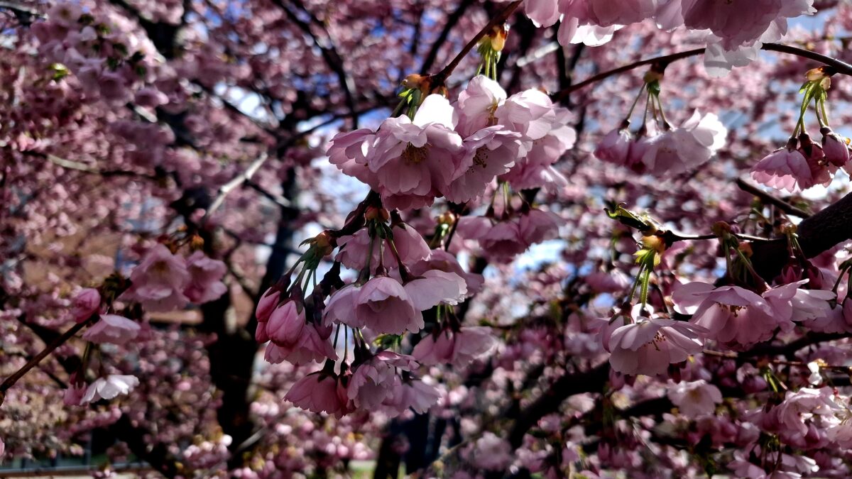 Sommerzeit nur auf der Uhr